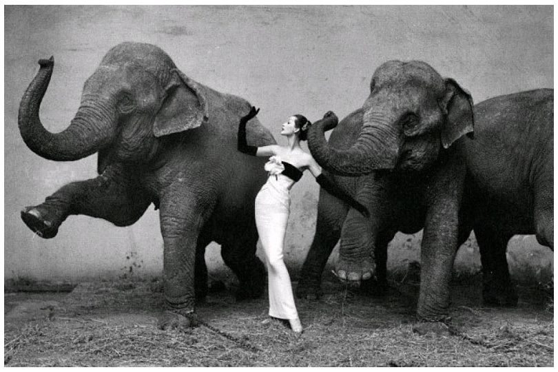 Richard Avedon