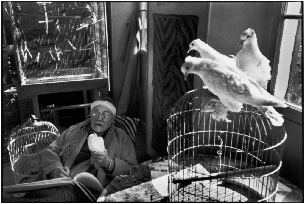 henri matisse cartier bresson