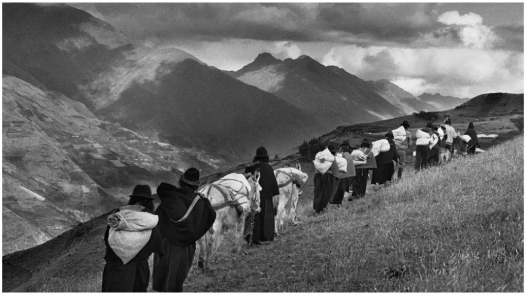 exodo sebastiao salgado